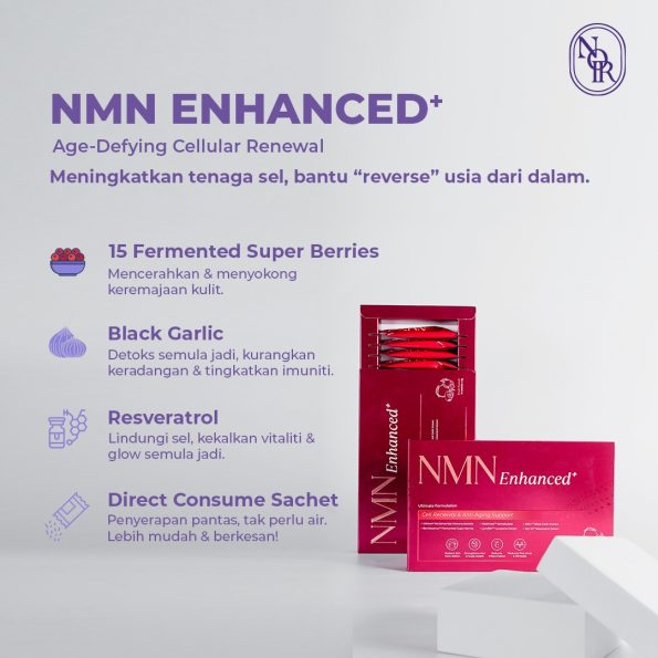 WhatsApp Image 2025-08-27 at 9.28.59 AM